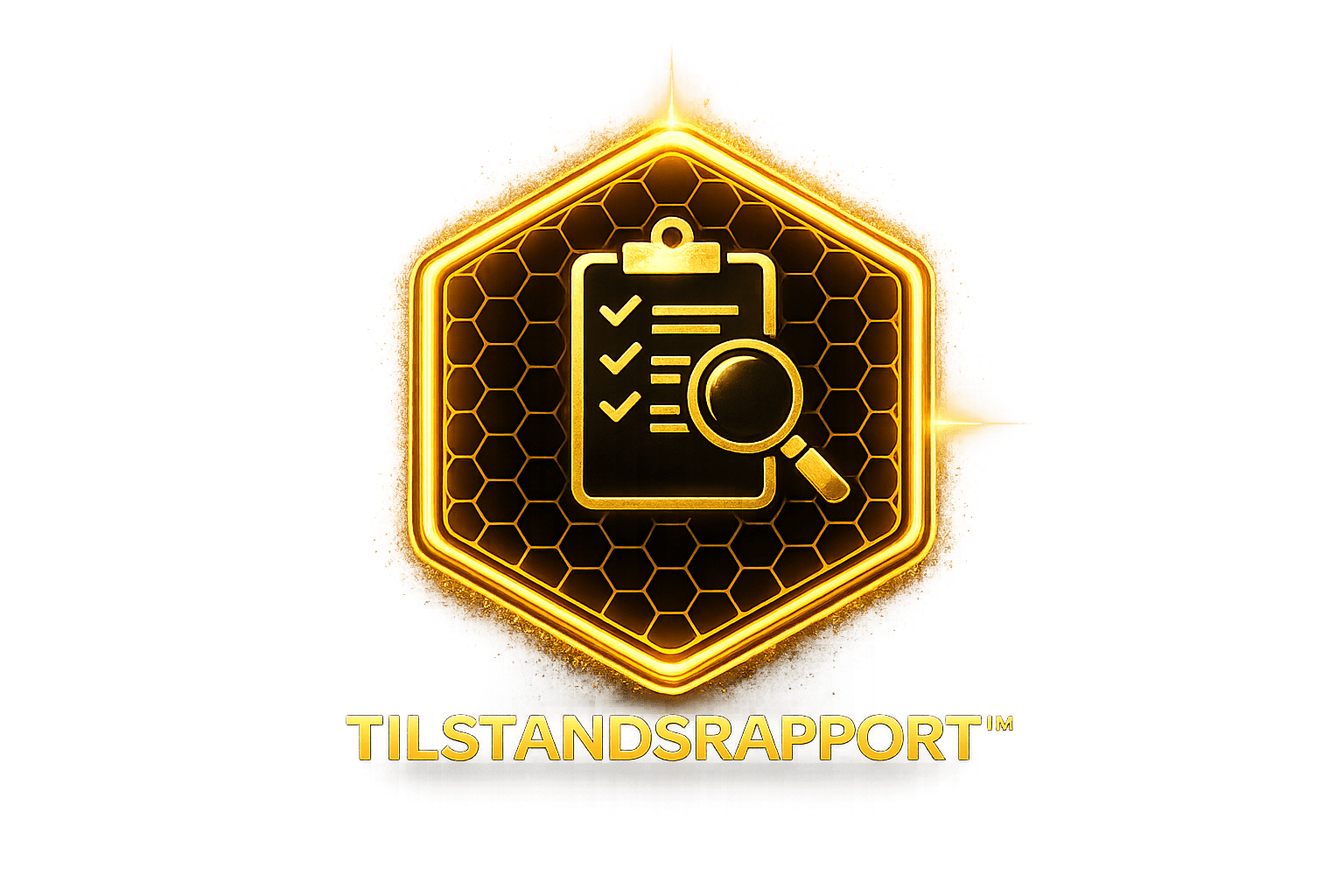 Tilstandsrapport
