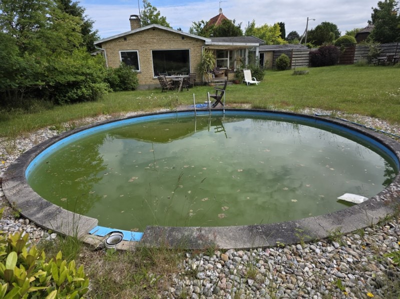 Grønt poolvand i rund swimmingpool